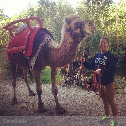 Pet Care Provider Samantha D's Profile Picture