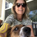 Phoenix Dog Sitting Professional Interviewing For Job Opportunities