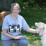 Passionate, Prodessional Pet Sitter