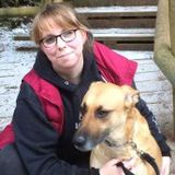 Registered Veterinary Technician Petsitter Interviewing For Work