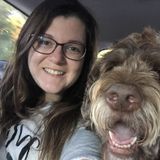 Seeking a Petsitter Job in Cleburne, Texas