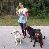 Excellent Pet Care At Your Service!