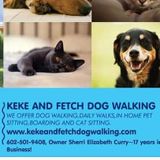 Pet Sitting,Boarding,Dog Walking,Cat Sitting,Cat Boarding Available Now!