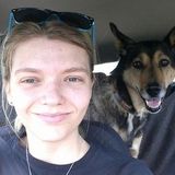 Pet Sitter with professional animal care experience
