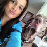 Costa Mesa, California Pet sitter/ walker