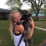 Wonderful Dog Walker for Hire and Pet Sitter