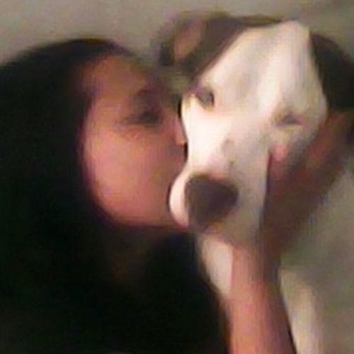 Pet Care Provider Michael W's Profile Picture