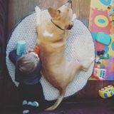 Seeking a fun, experienced, reliable babysitter one to four evenings/week for our 4 year old son in our home.