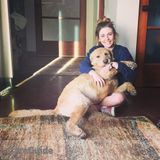 Quality pet sitting and dog walking