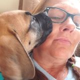 Animal lover looking forward to meeting you and your fur baby
