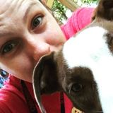 Fleclxible and affordable house and pet sitter. I have 10+ years experience and great references