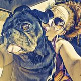 Reliable and honest dog lover who will care for your dogs as if they were my own fur babies! Available ASAP!