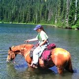 Responsible professional female for your house & pet sitting needs.