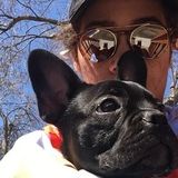 Richfield resident in Minnesota dog walking/sitting SUMMER ONLY
