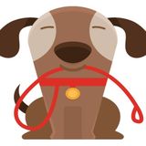 Dog Walking and Pet Sitting Offered in Edgewater, Cliffside Park, North bergen and the surrounding towns.