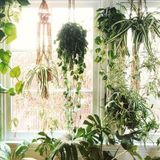 Competent and Efficient Housesitting