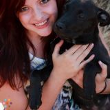 Let Me Pamper Your Fur Babies!