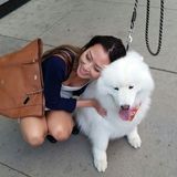 North York Dog Walker Available For Job Opportunities