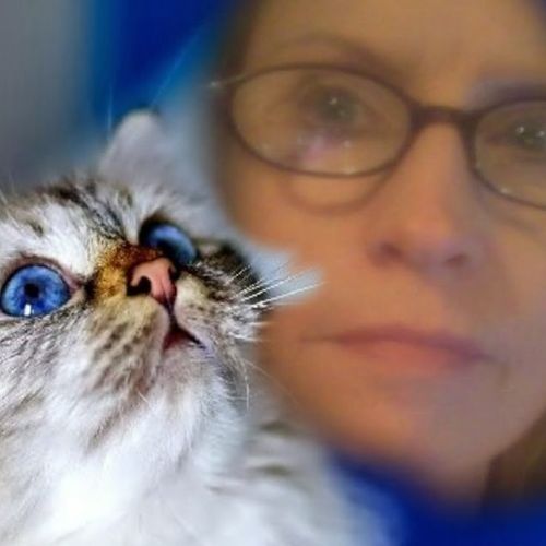 Housekeeper Provider Cathy F's Profile Picture