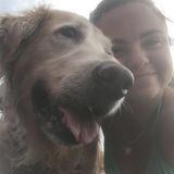 Consistent Petsitter for Your Home