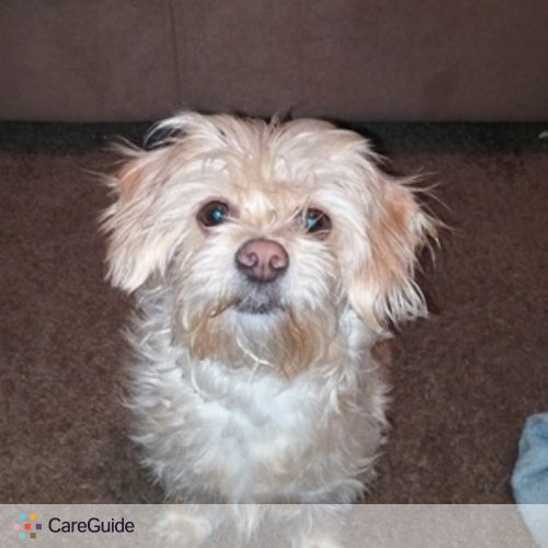Pet Care Provider Nadia Hodges's Profile Picture