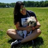 We LVE Dogs & We Love Walking