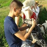 Fairburn, Georgia Animal Caregiver