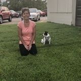 Experienced Dog Walking Available Now!