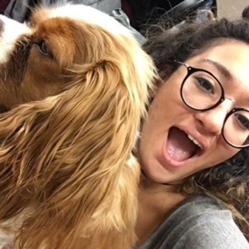 Pet Care Provider Ekin T's Profile Picture