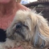 Interested In Salisbury Pet Care Provider Opportunity