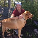 Interviewing For a Pet Care Provider Opportunity in Rancho Santa Margarita