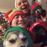 Reliable trustworthy house sitter available now and during the holiday season!