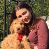 Dog walker/dog sitter