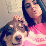 Animal Lover Interested In Job Opportunities in Brattleboro, Vermont