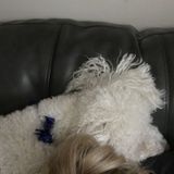 Owner of rescue and CAM