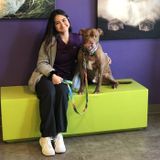 Pre-Vet Pet Sitter