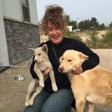Energetic Student offering Dog Walking, Feeding and Sitting