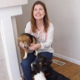 Petsitting and overnight boarding . Tender loving care and attention .