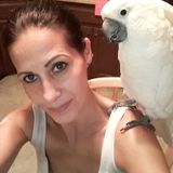 Wonderful House Sitter for Hire