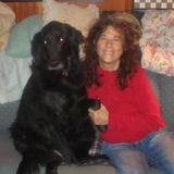 Pet sitter, I have been doing this for 14 years Live in pet sitter all pets, I live in E. Hampton CT, CG 50-60 a night