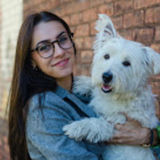 For Hire: Qualified Dog Walker/Sitter in Montclair, New Jersey