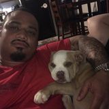 Looking For a Pet Service Provider Job