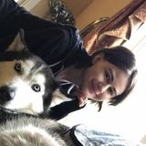 Need Petsitter for Dogs, Cats, Guinea Pigs, Hamsters, & Rabbits!