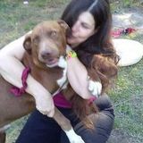 I am experienced at house sitting. I am great with animals. Good at housekeeping, and responsible.