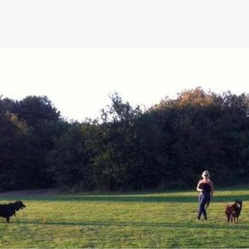 Pet Care Provider Kari-Ann H's Profile Picture