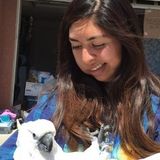 Great at taking care of pets