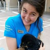 Looking to love on fur babies in the Richland Hills area!