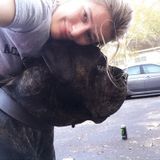Reliable Home/Pet Sitter in Charleston
