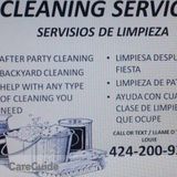 Cleaning Services