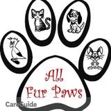 Quality Pet Care at Affordable Prices!